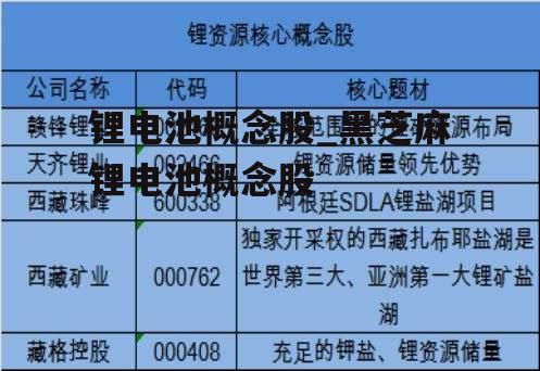 锂电池概念股_黑芝麻锂电池概念股