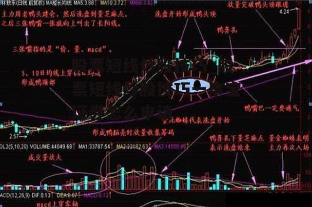 股票短线炒股技巧_股票短线炒股技巧一申宝证券怎么申请