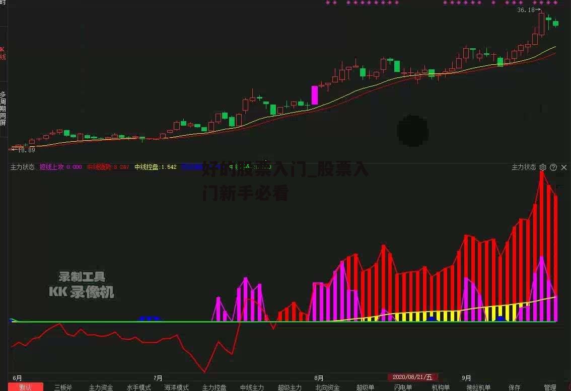 好的股票入门_股票入门新手必看