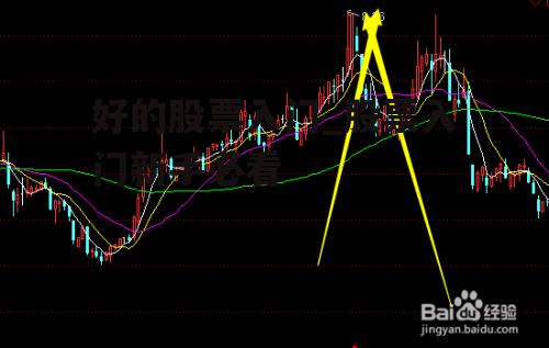 好的股票入门_股票入门新手必看