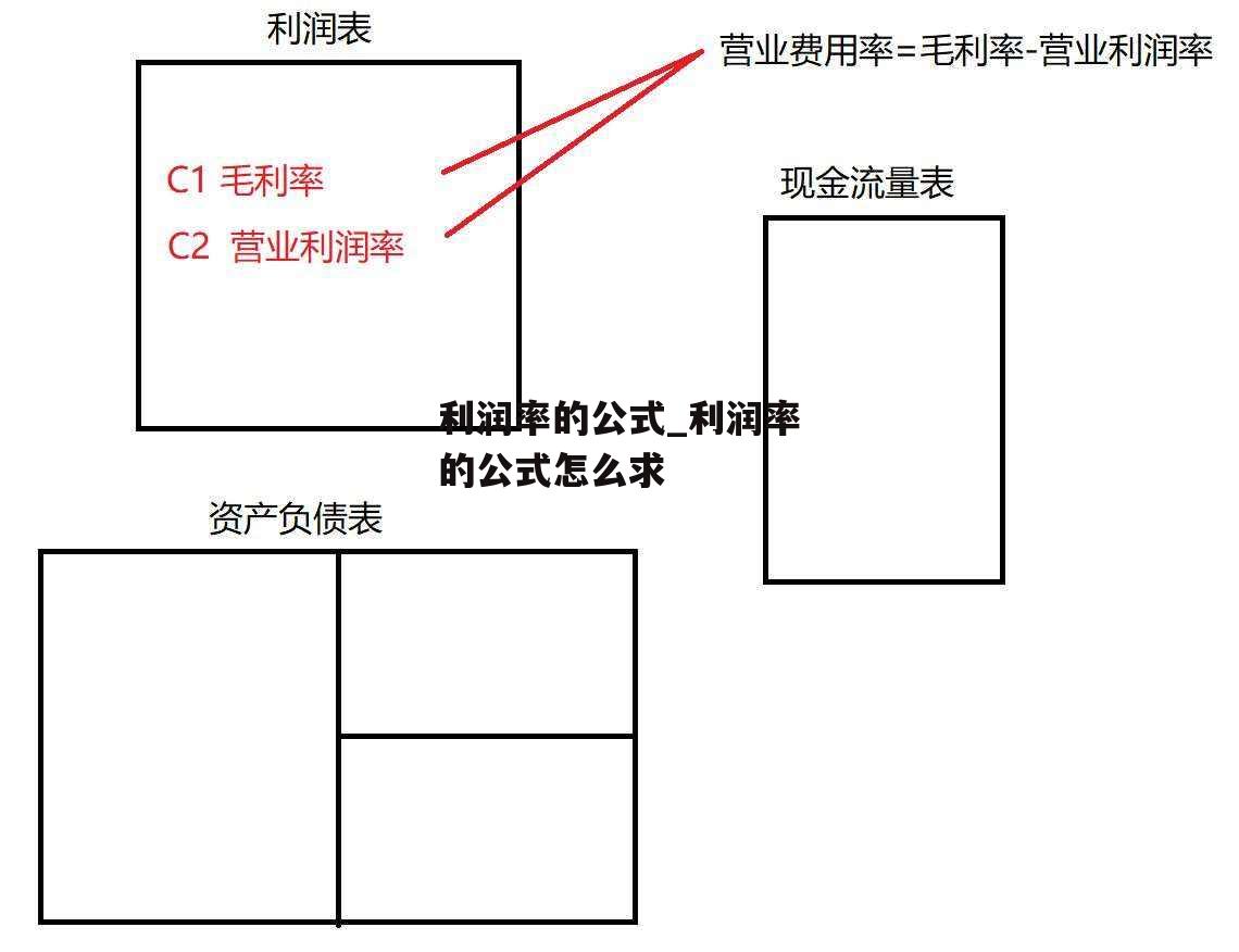 利润率的公式_利润率的公式怎么求