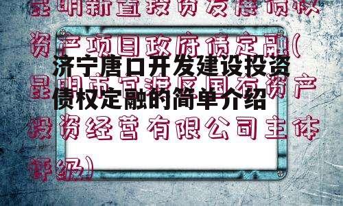 济宁唐口开发建设投资债权定融的简单介绍