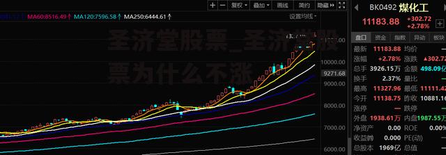 圣济堂股票_圣济堂股票为什么不涨