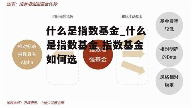 什么是指数基金_什么是指数基金 指数基金如何选