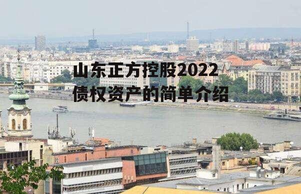 山东正方控股2022债权资产的简单介绍