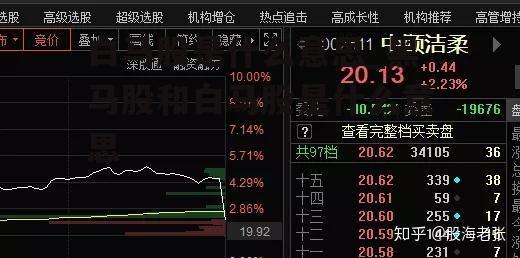 白马股是什么意思_黑马股和白马股是什么意思