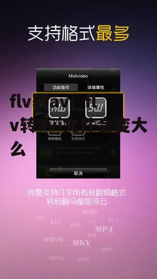 flv转avi_flv转avi文件会变大么