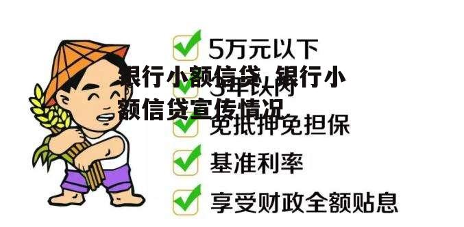 银行小额信贷_银行小额信贷宣传情况