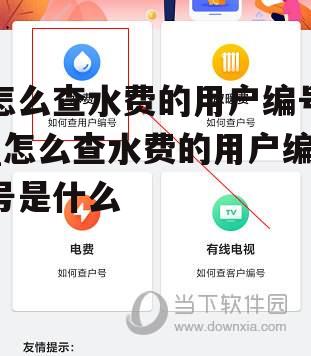 怎么查水费的用户编号_怎么查水费的用户编号是什么