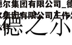 德尔集团有限公司_德尔集团有限公司工作怎么样