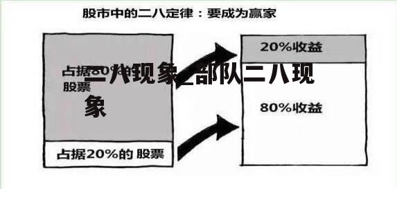 二八现象_部队二八现象