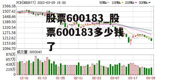 股票600183_股票600183多少钱了