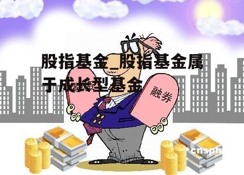 股指基金_股指基金属于成长型基金