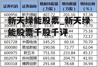 新天绿能股票_新天绿能股票千股千评