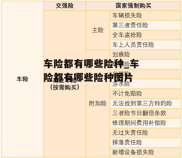 车险都有哪些险种_车险都有哪些险种图片