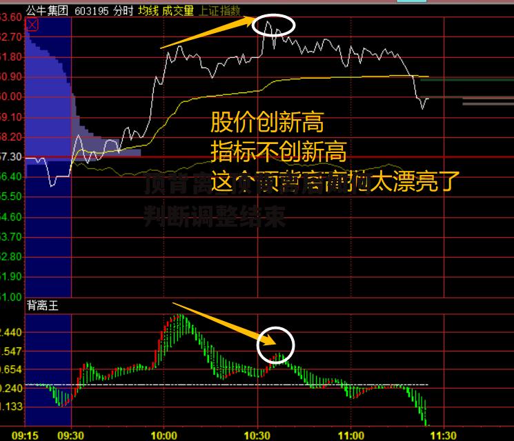 顶背离_顶背离后如何判断调整结束