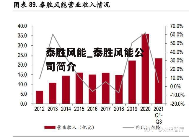 泰胜风能_泰胜风能公司简介