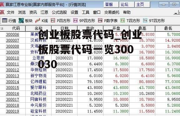 创业板股票代码_创业板股票代码一览300030