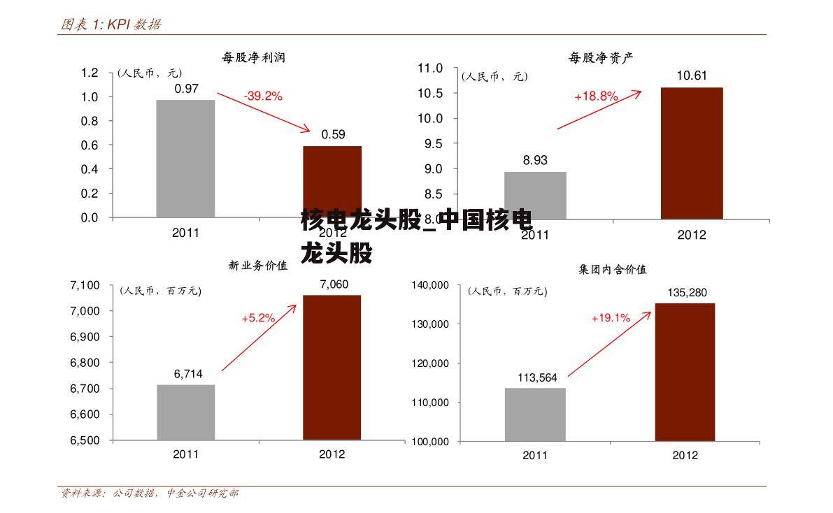 核电龙头股_中国核电龙头股