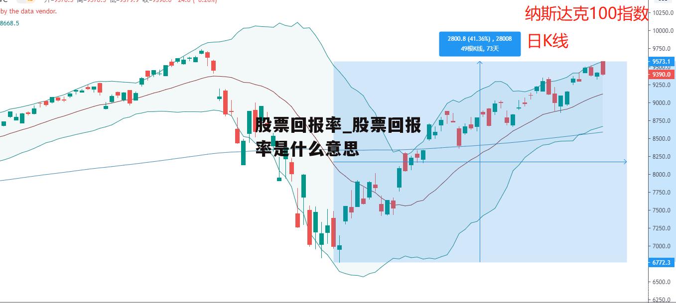 股票回报率_股票回报率是什么意思