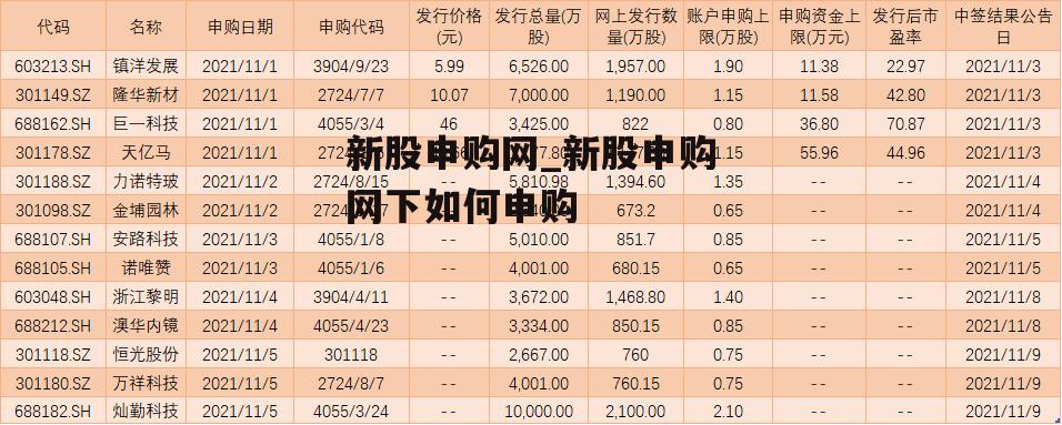 新股申购网_新股申购网下如何申购