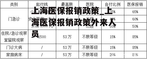 上海医保报销政策_上海医保报销政策外来人员