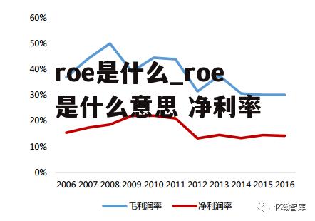 roe是什么_roe是什么意思 净利率