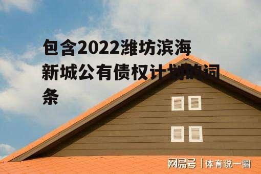 包含2022潍坊滨海新城公有债权计划的词条