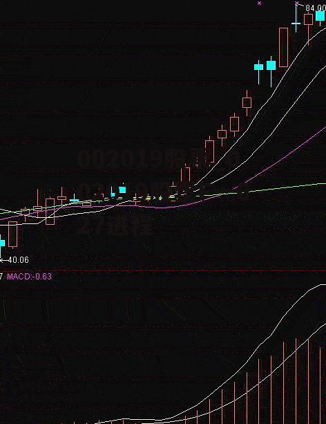 002019股票_002019股票F一627进程