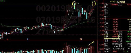 002019股票_002019股票F一627进程