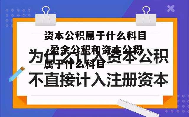 资本公积属于什么科目_盈余公积和资本公积属于什么科目