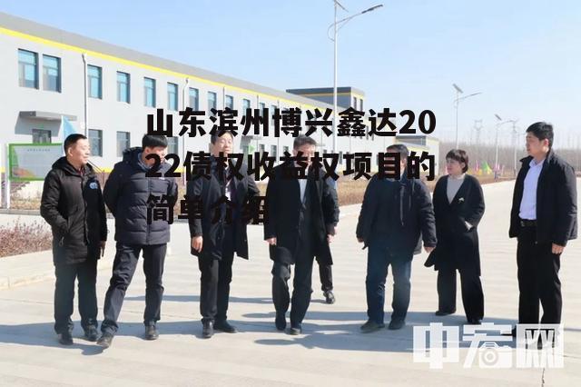 山东滨州博兴鑫达2022债权收益权项目的简单介绍