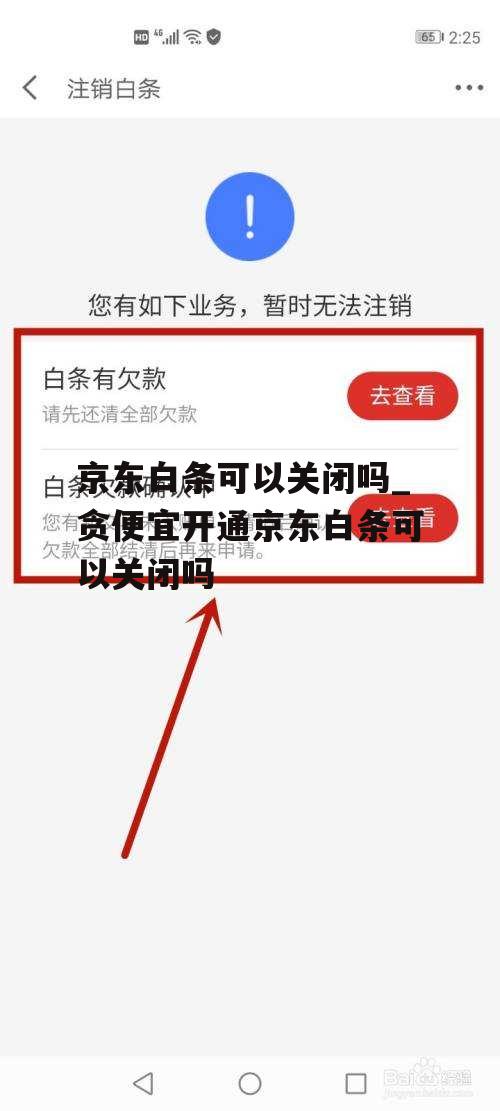 京东白条可以关闭吗_贪便宜开通京东白条可以关闭吗