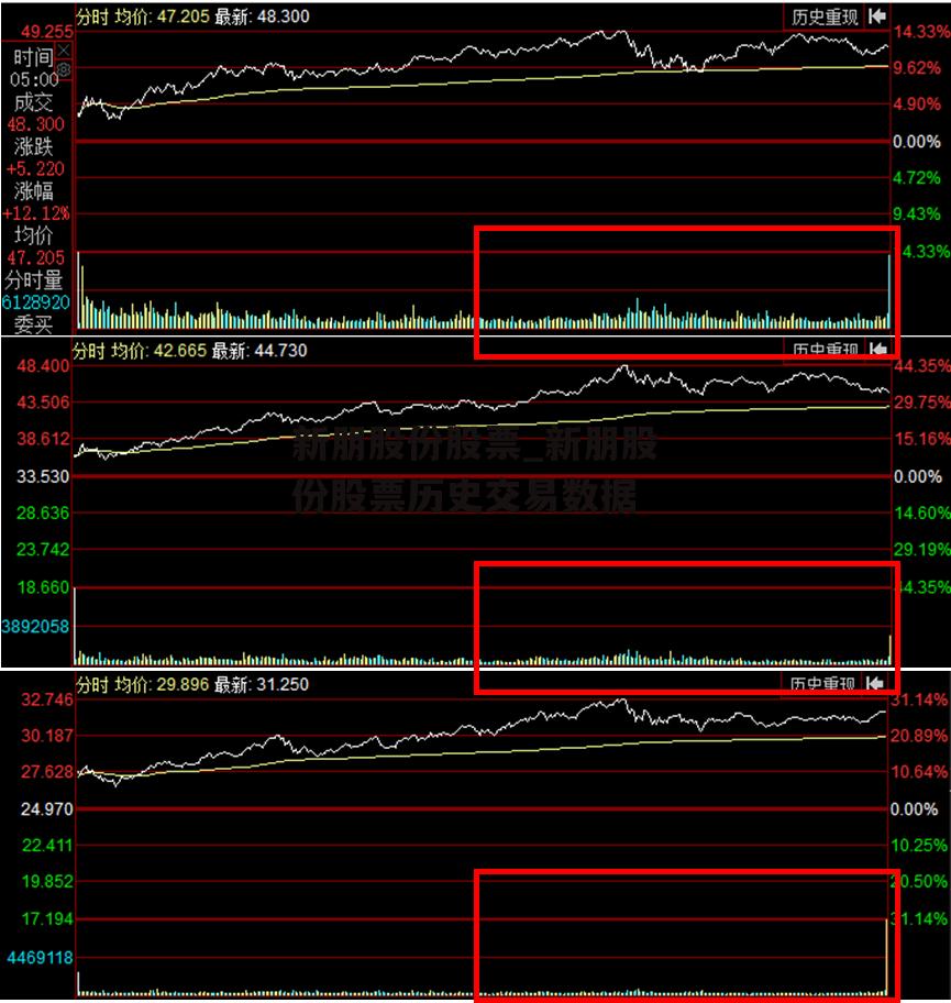 新朋股份股票_新朋股份股票历史交易数据