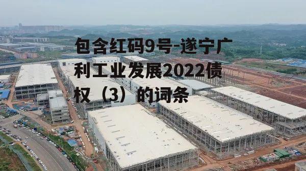 包含红码9号-遂宁广利工业发展2022债权（3）的词条