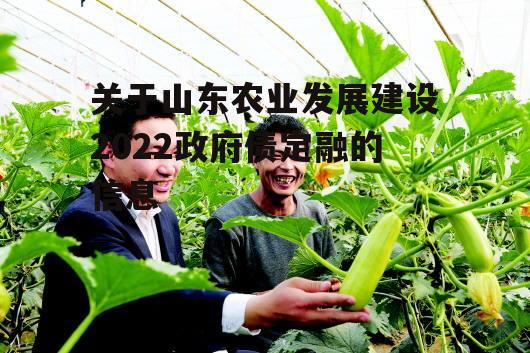 关于山东农业发展建设2022政府债定融的信息