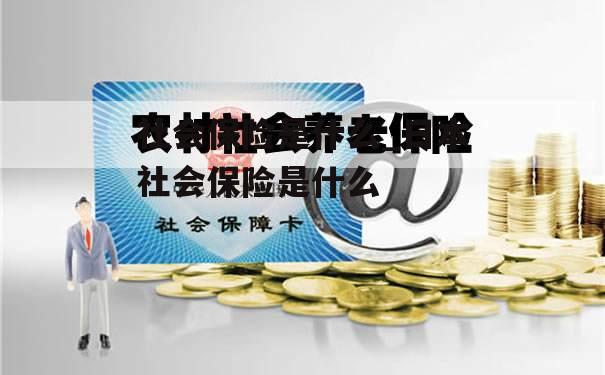 社会保险是什么_日本社会保险是什么