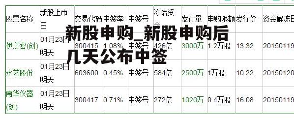 新股申购_新股申购后几天公布中签