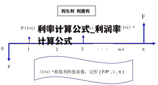 利率计算公式_利润率计算公式