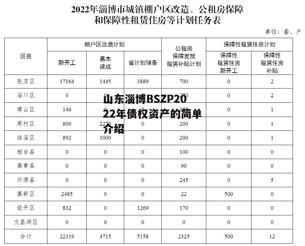 山东淄博BSZP2022年债权资产的简单介绍