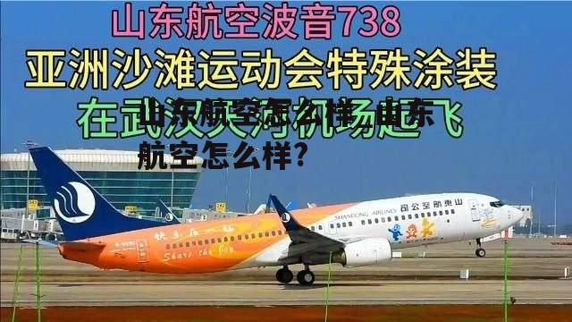 山东航空怎么样_山东航空怎么样?