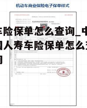 车险保单怎么查询_中国人寿车险保单怎么查询