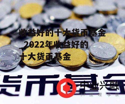 收益好的十大货币基金_2022年收益好的十大货币基金