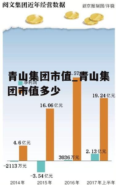 青山集团市值_青山集团市值多少