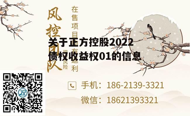 关于正方控股2022债权收益权01的信息