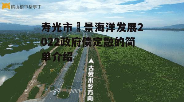 寿光市昇景海洋发展2022政府债定融的简单介绍