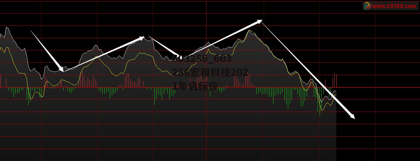 603256_603256宏和科技2021年目标价