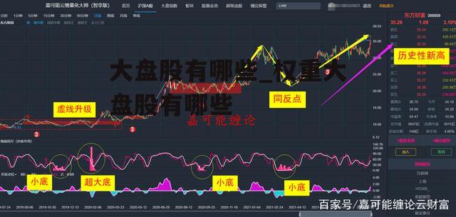 大盘股有哪些_权重大盘股有哪些