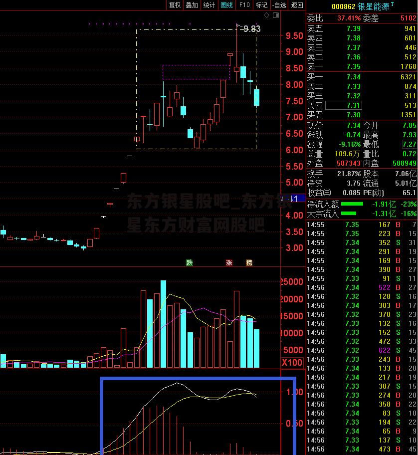 东方银星股吧_东方银星东方财富网股吧