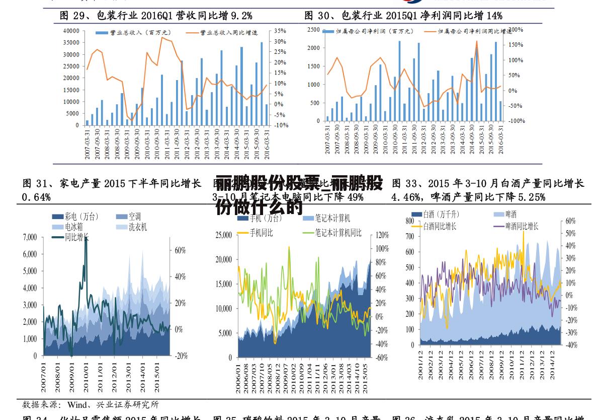 丽鹏股份股票_丽鹏股份做什么的